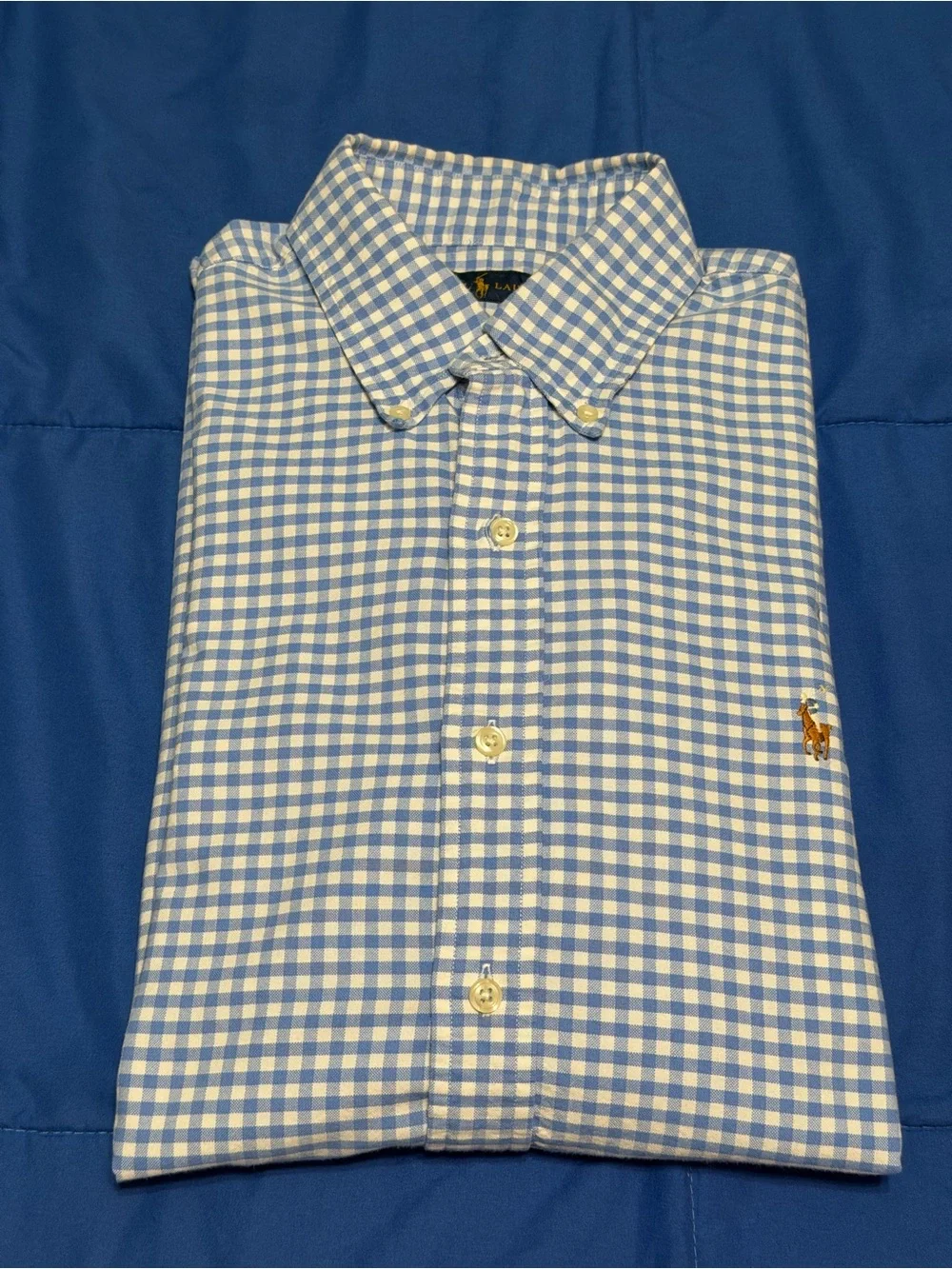Polo by Ralph Lauren Men's Blue Gingham Button-Down Shirt